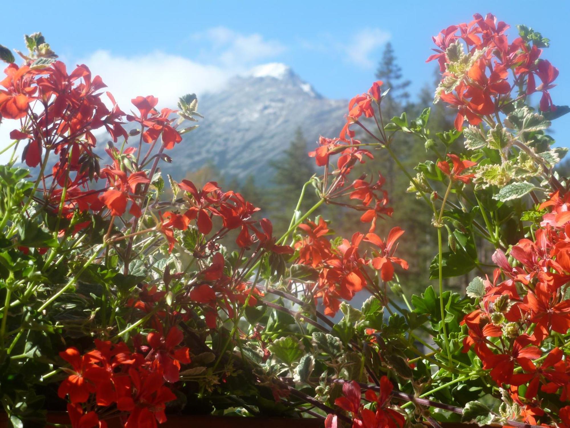 Erika penzión Vysoké Tatry Exterior foto